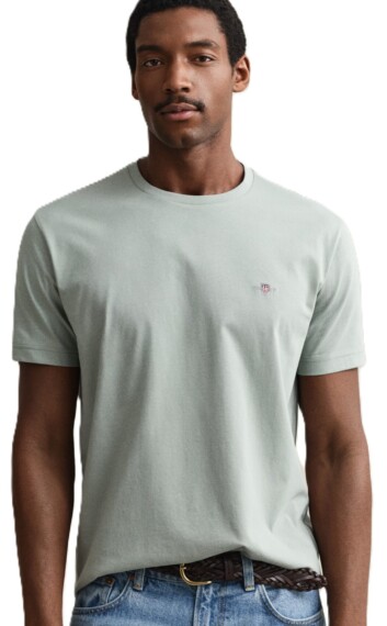 Gant Regular Fit T-Shirt - Ceramic Grey 2003184-110